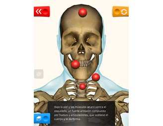 Cuerpo humano Educa explorer