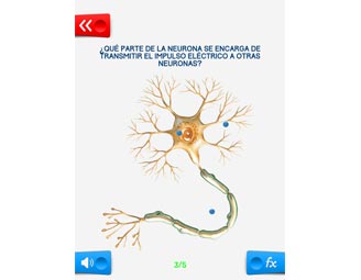 Cuerpo humano Educa explorer