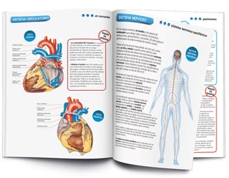 Cuerpo humano Educa explorer
