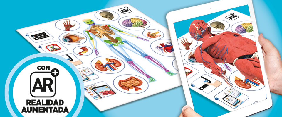 Educa Explorer Cuerpo Humano
