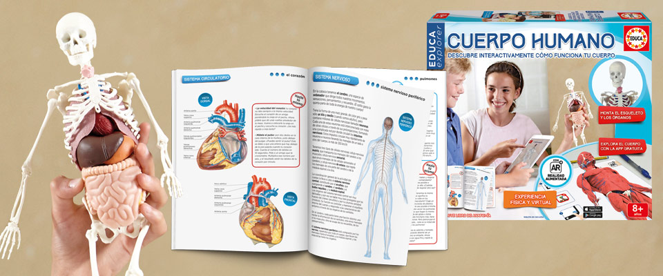 Educa Explorer Cuerpo Humano