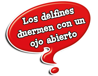 Verdad o mentira