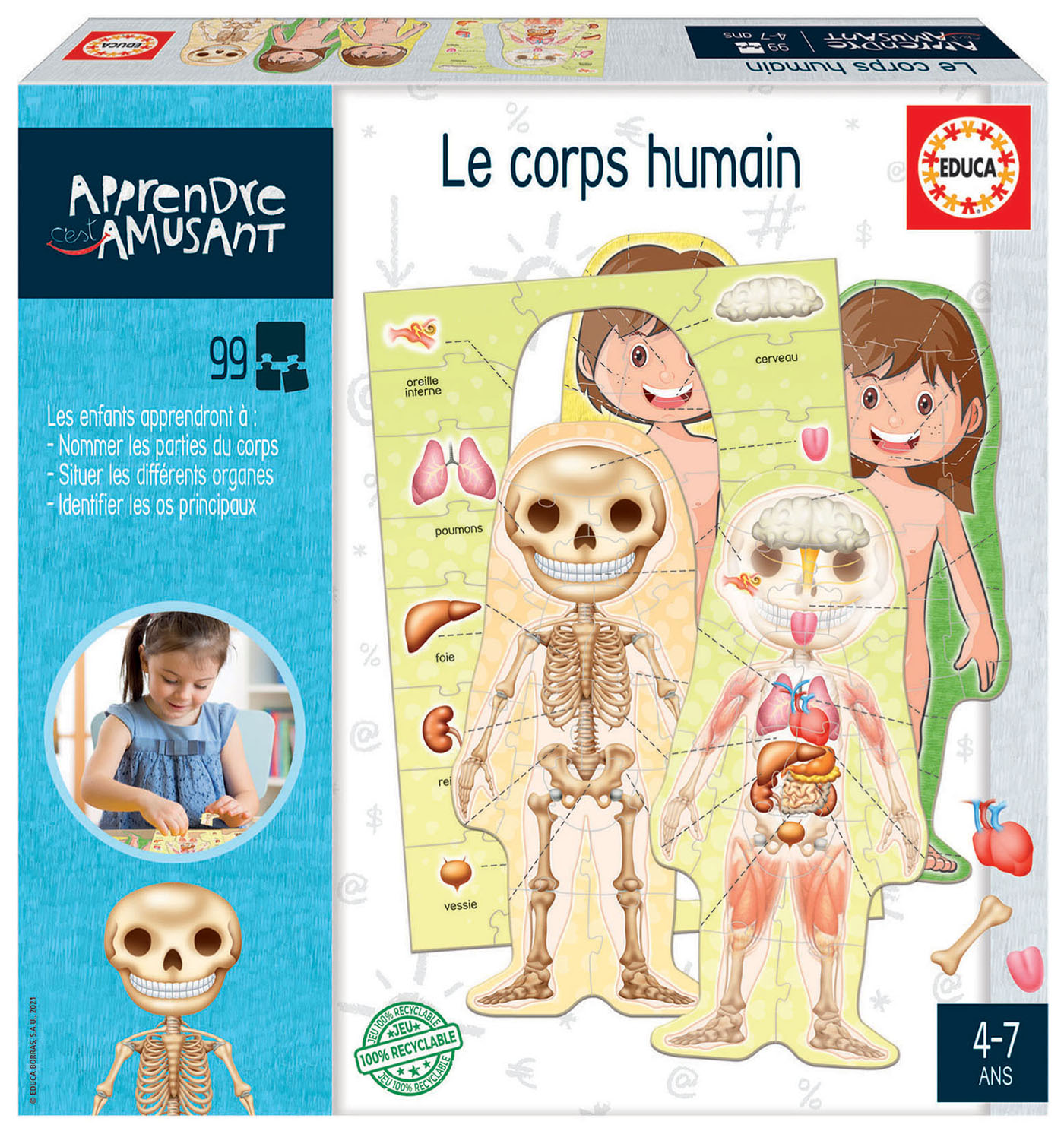 Puzzle éducatif Apprendre Le corps humain en CATALAN 35 pièces Larsen - Un  jeux des jouets