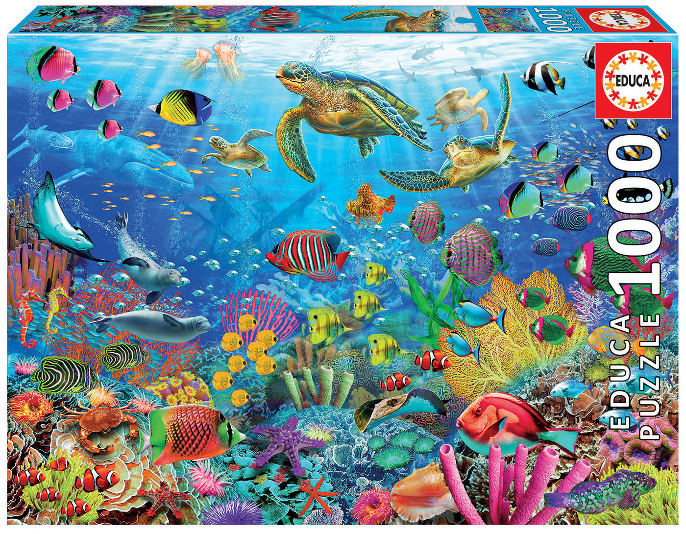 Puzzle Tropical - 1000 pièces - Omy