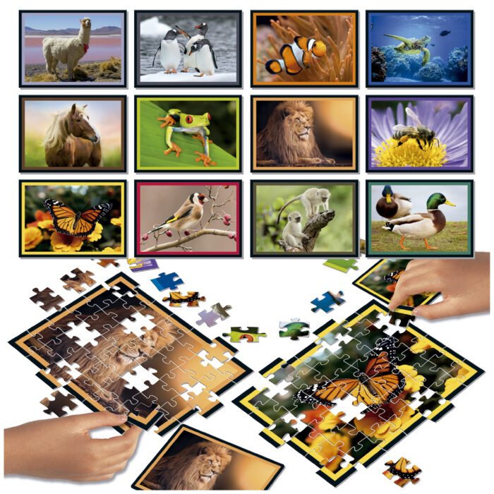 Puzzle Battle Natura